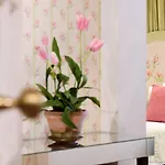 Hotel Casa De Sao Mamede Lisboa